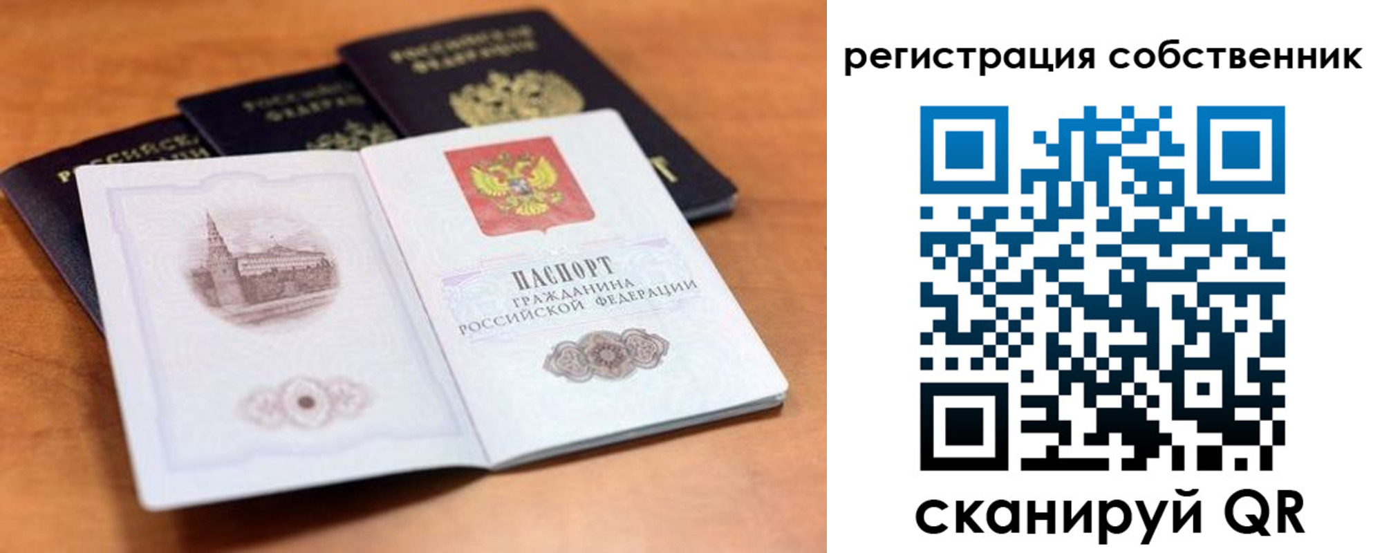 прописка поиск в Белокурихе